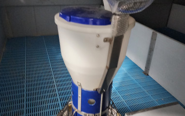 상철농장_202505291_28
