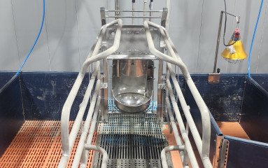 상철농장_202505291_50
