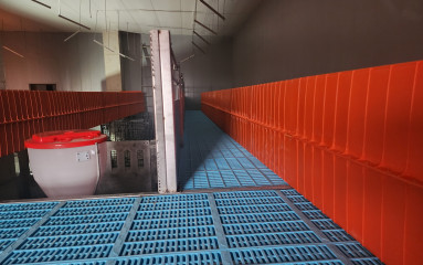 상철농장_202505291_33